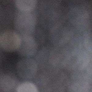 Meet your Posher, Ann t